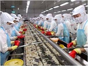 澳大利亞水產品進口協會高度評價越南水產品質量，加工貿易合作前景廣闊